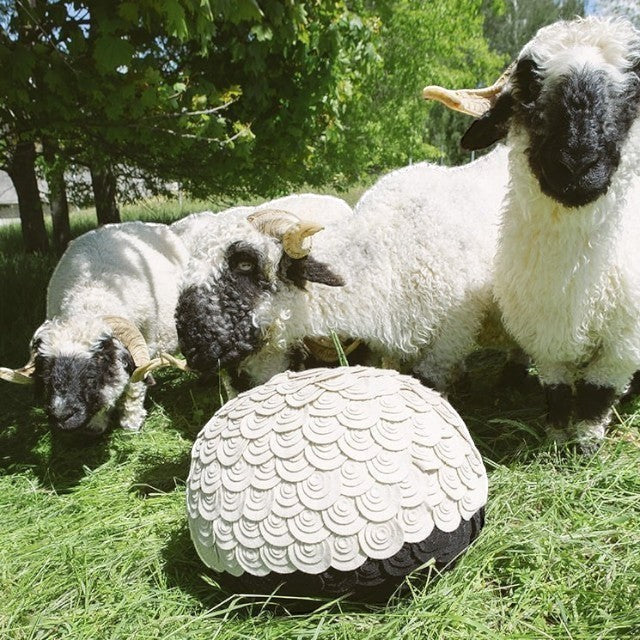 Baabuk Sheep Stool with textured wool pattern sitting on grass next to Valais Blacknose sheep in a field.