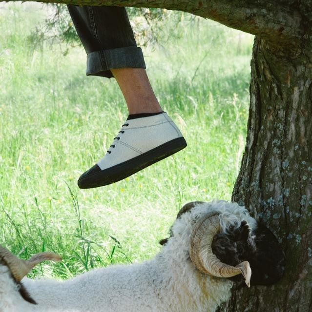 Baabuk Sky Wooler Blacknose SW sneakers in off-white wool with black rubber soles worn near a Valais Blacknose sheep